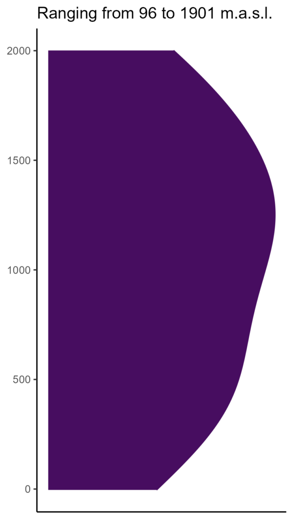 20260120 ssc398 elev
