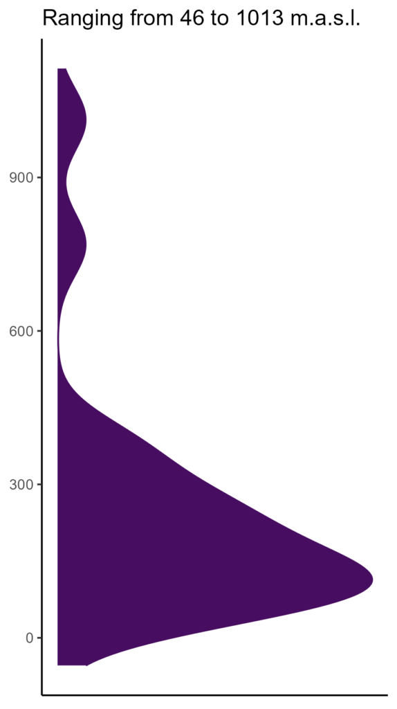 20260120 ssd111 elev