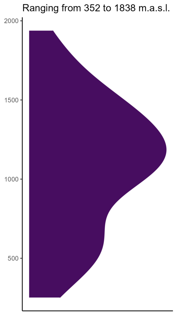 20260120 ssd114 elev