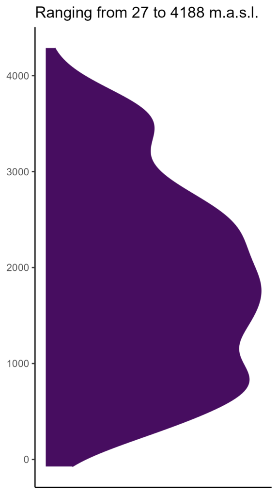 20260120 ssd359 elev