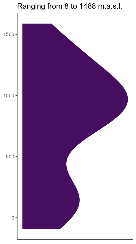 20260120 sse112 elev