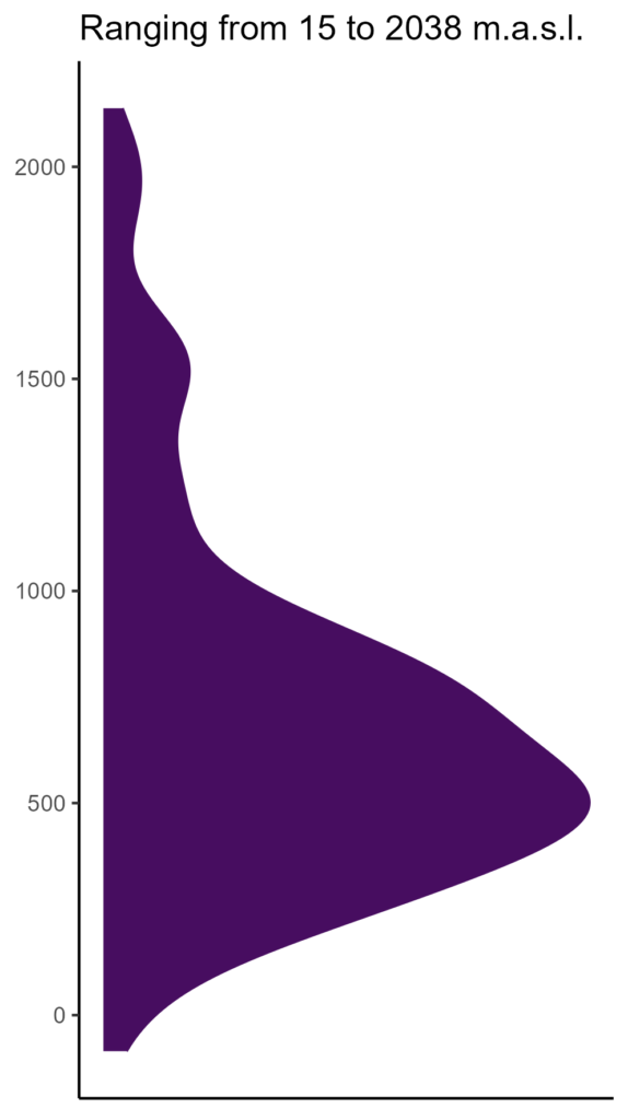 20260120 sse299 elev