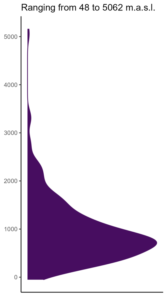 20260120 ssh238 elev