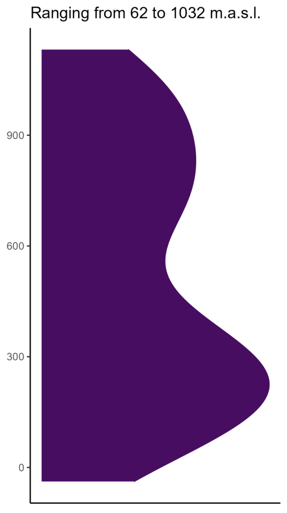 20260120 ssh300 elev