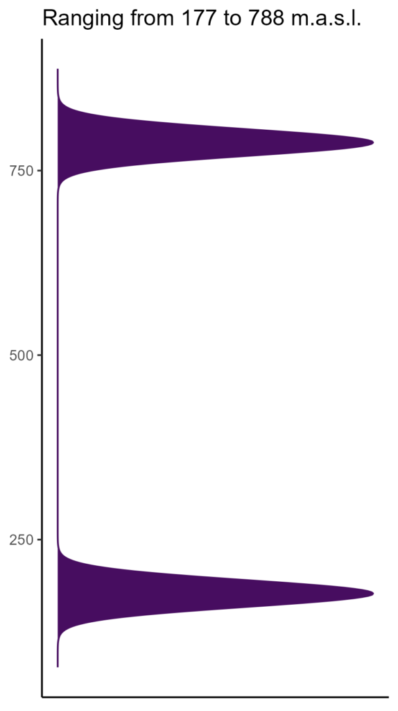 20260120 ssi113 elev