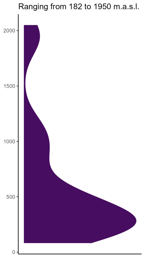 20260120 ssn188 elev