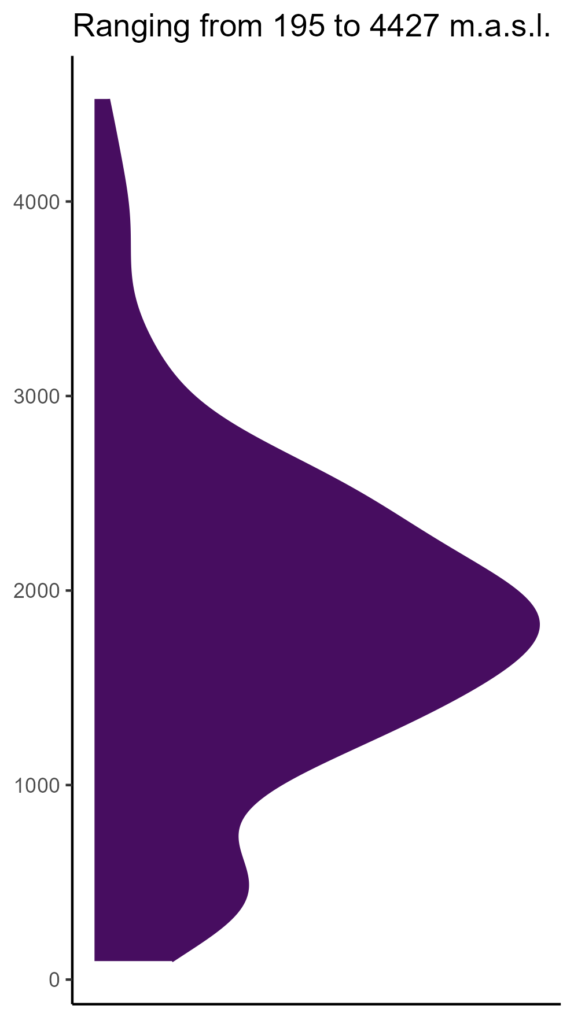 20260120 ssp079 elev