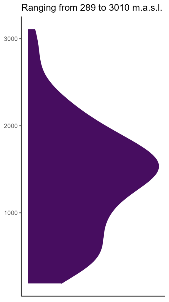 20260120 ssp189 elev