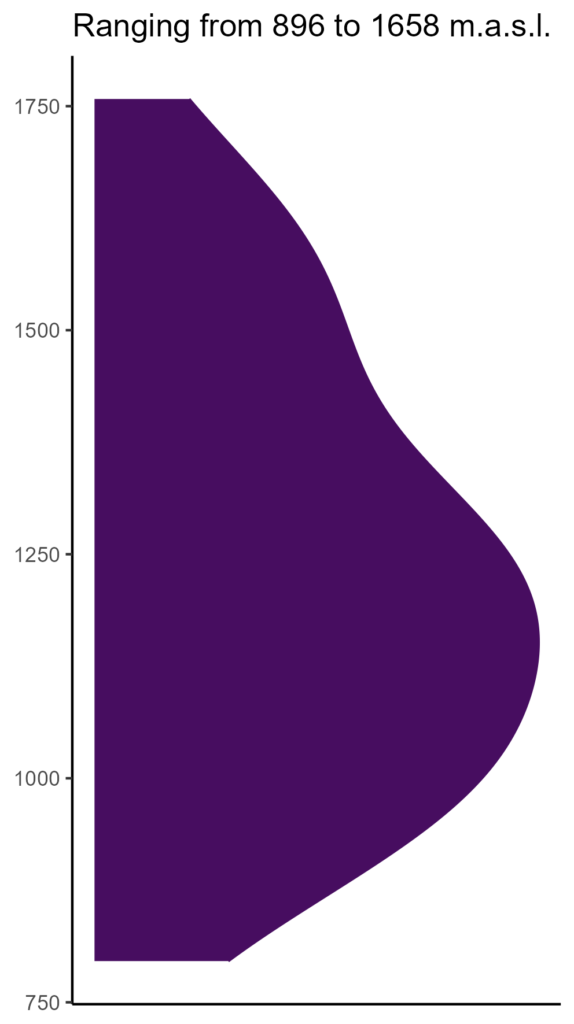 20260120 ssp368 elev