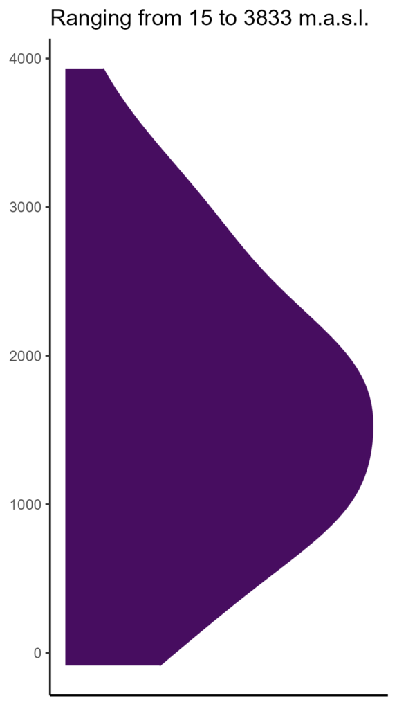 20260120 ssp400 elev