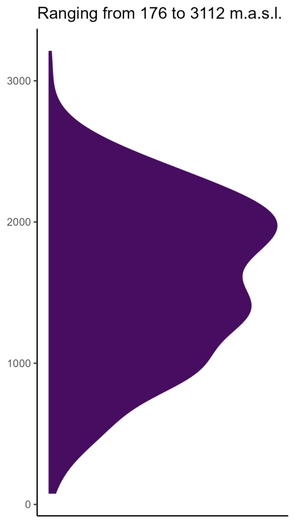 20260120 ssr301 elev