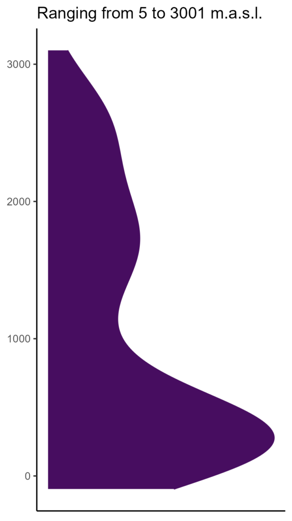 20260120 sss001 elev