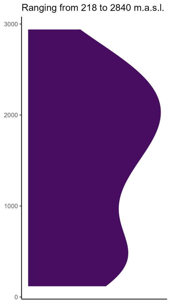 20260120 sss190 elev