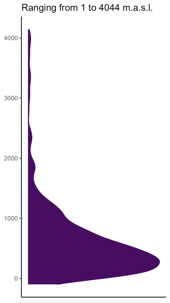 20260120 sst195 elev