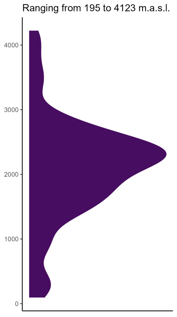 20260120 sst331 elev