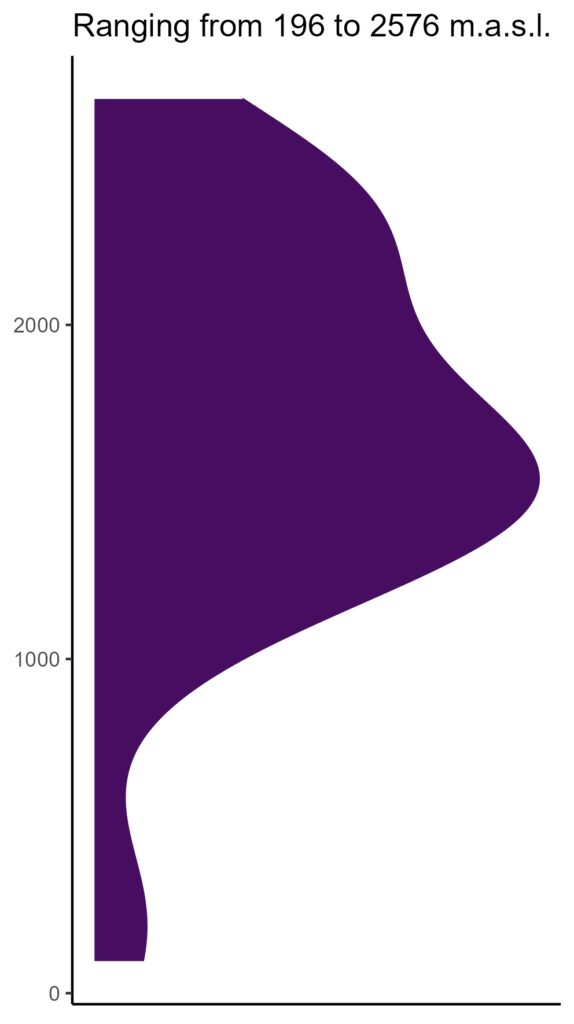 20260120 ssy369 elev