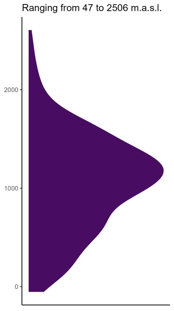 20260120 tao022 elev