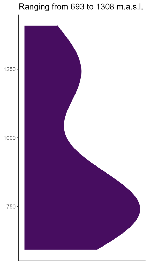 20260120 Vbb027 Elev 574x1024