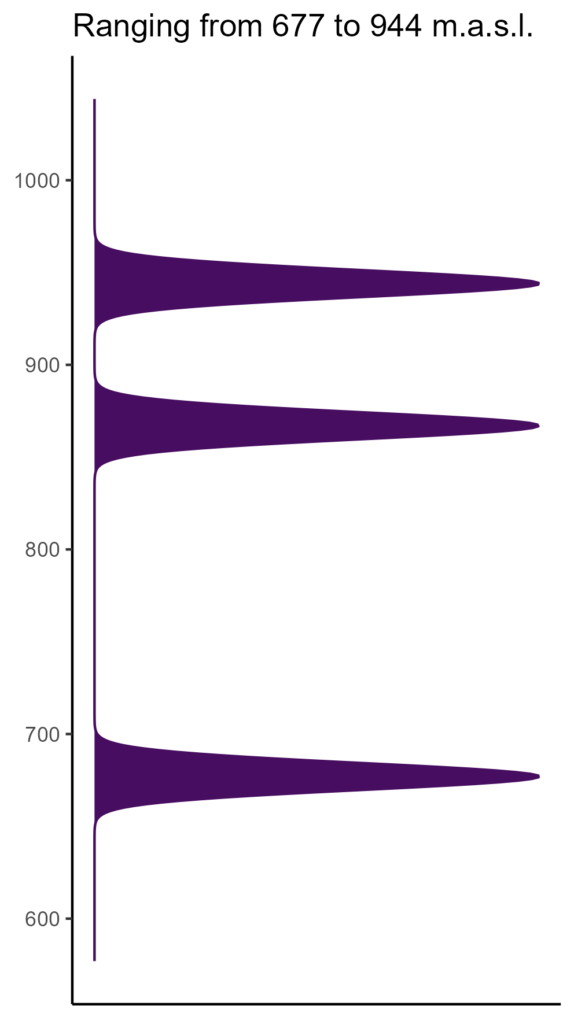 20260120 Vbf028 Elev 574x1024
