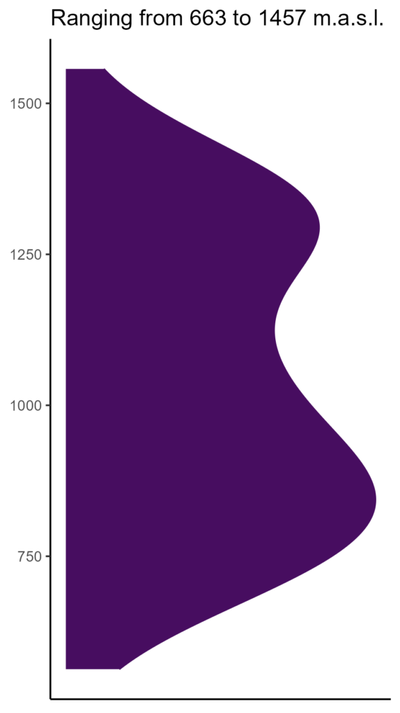 20260120 Vbf086 Elev 574x1024