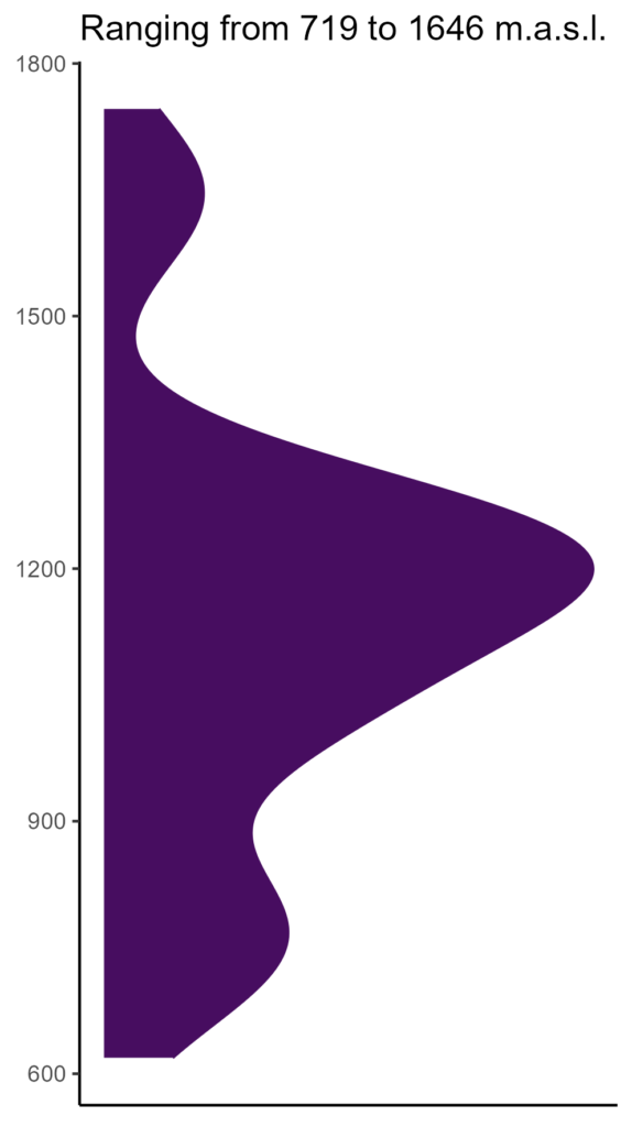 20260120 Vbf093 Elev 574x1024