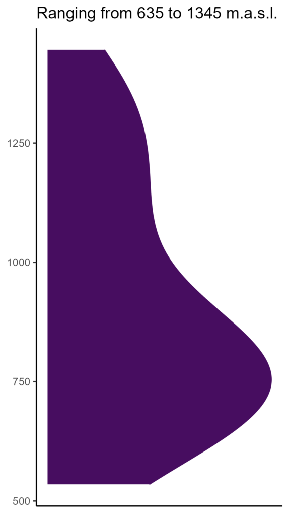 20260120 Vbg252 Elev 574x1024