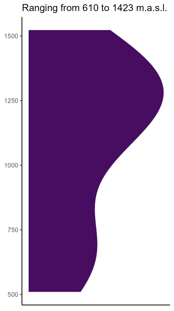 20260120 Vbl253 Elev 574x1024