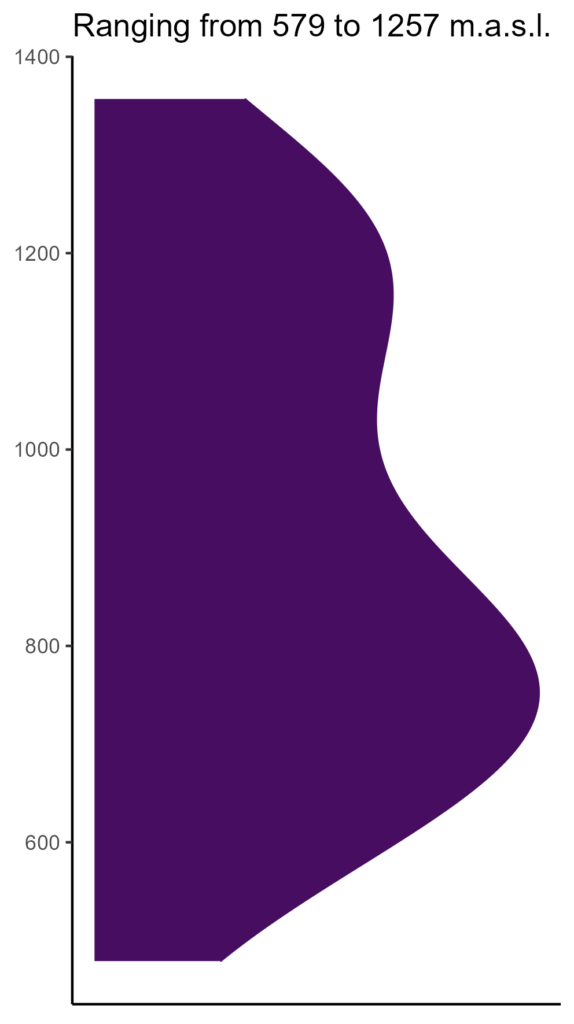 20260120 Vbm254 Elev 574x1024