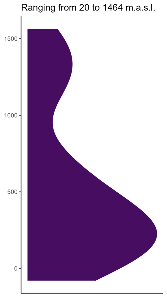 20260120 Vbp010 Elev 574x1024