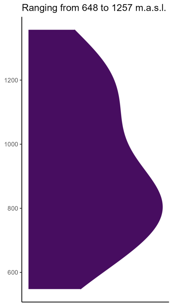 20260120 Vbr080 Elev 574x1024