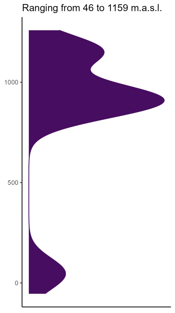 20260120 Vbt008 Elev 574x1024