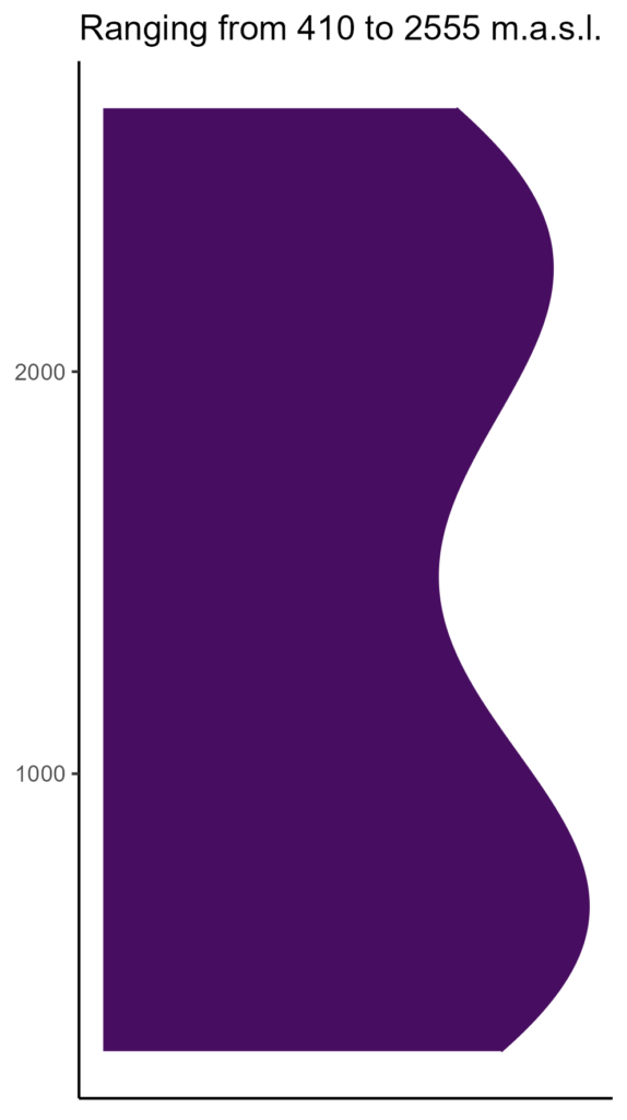 20260120 Vgb030 Elev 574x1024