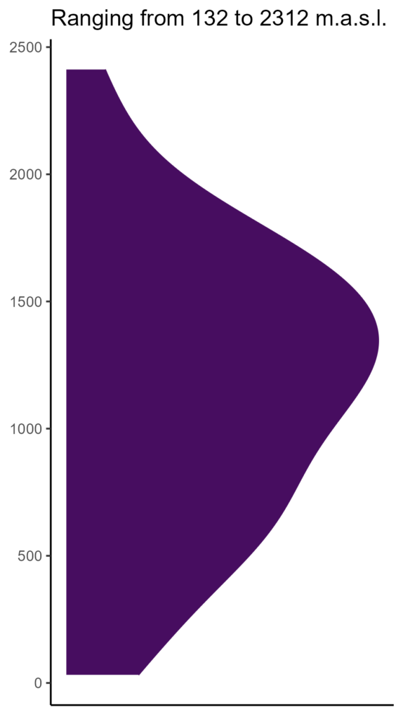 20260120 Vte016 Elev 574x1024