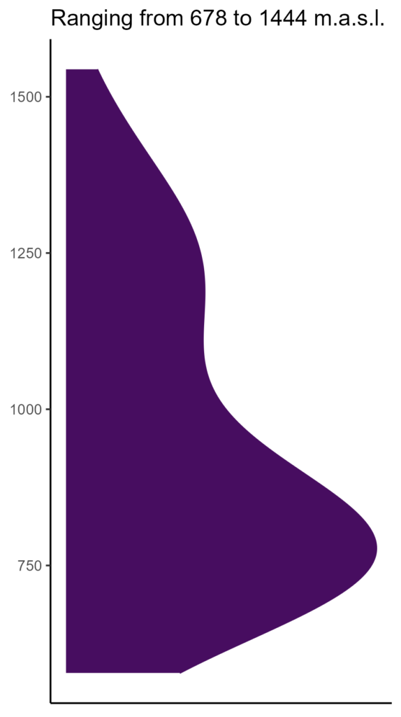 20260120 Vva120 Elev 574x1024