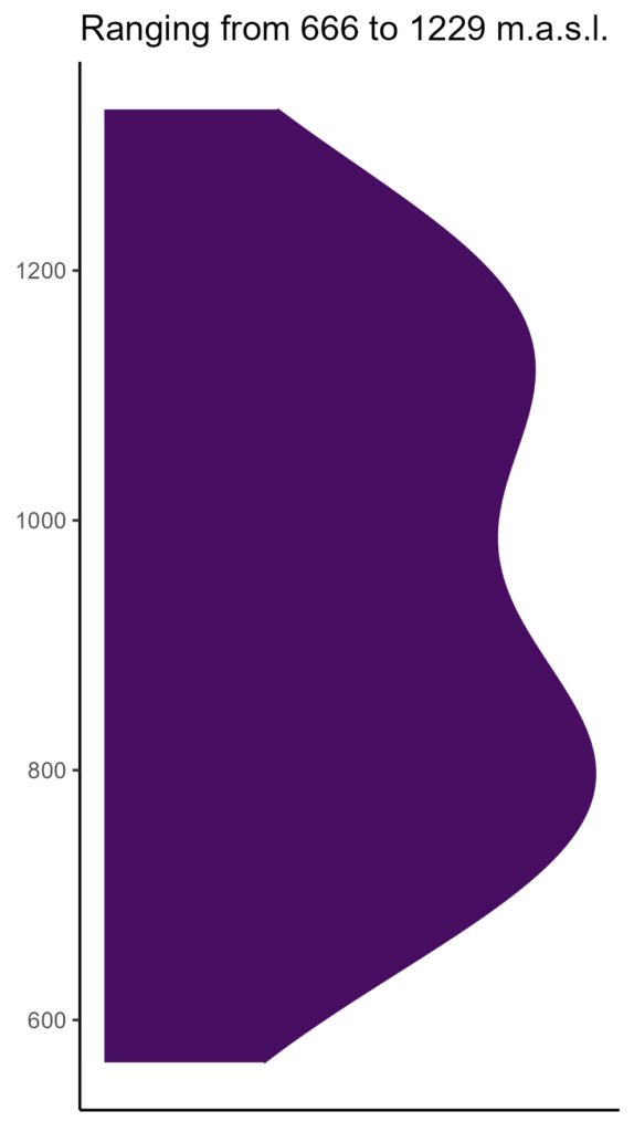 20260120 Vva123 Elev 574x1024