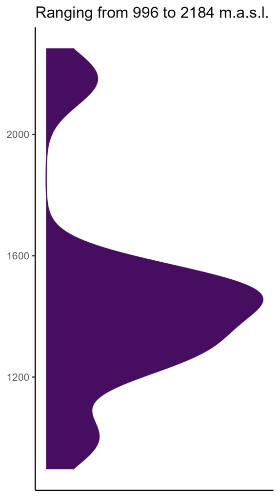 20260120 Vva304 Elev 574x1024