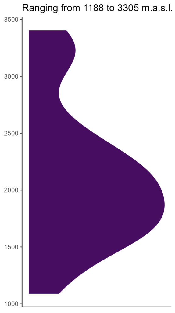 20260120 Vvb070 Elev 574x1024