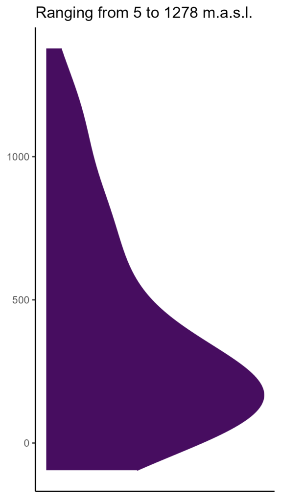 20260120 Vvc031 Elev 574x1024