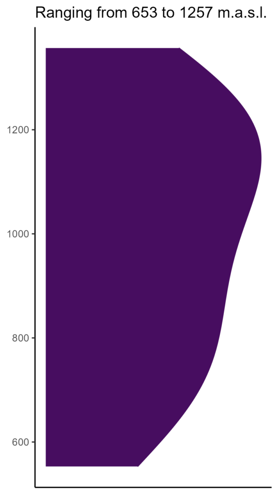 20260120 Vvc082 Elev 574x1024