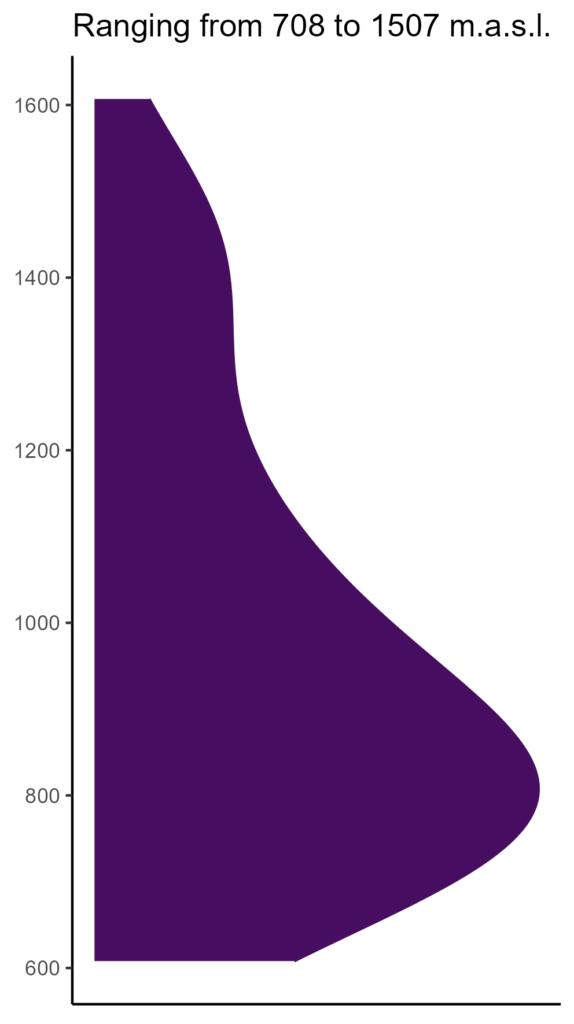 20260120 Vvc127 Elev 574x1024