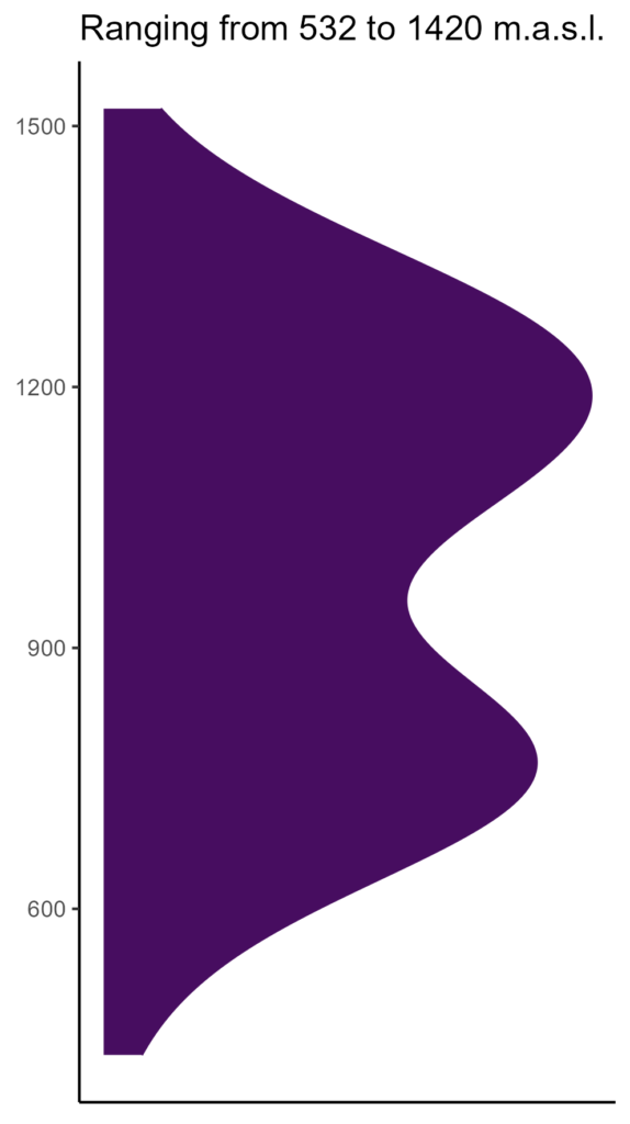 20260120 Vvd305 Elev 574x1024