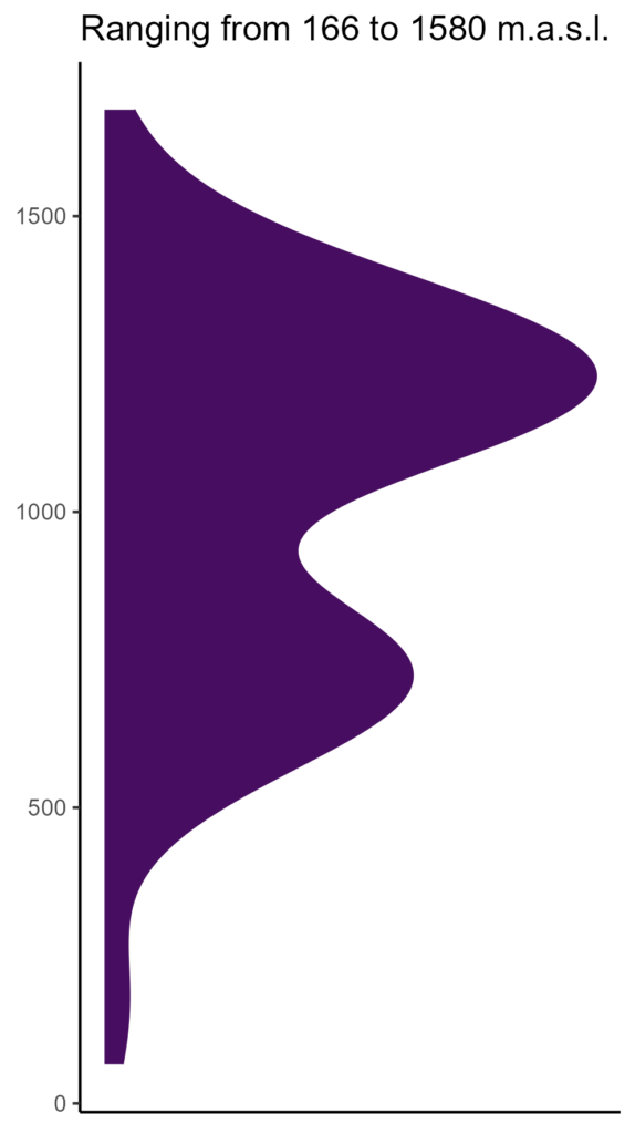 20260120 Vve306 Elev 1 574x1024