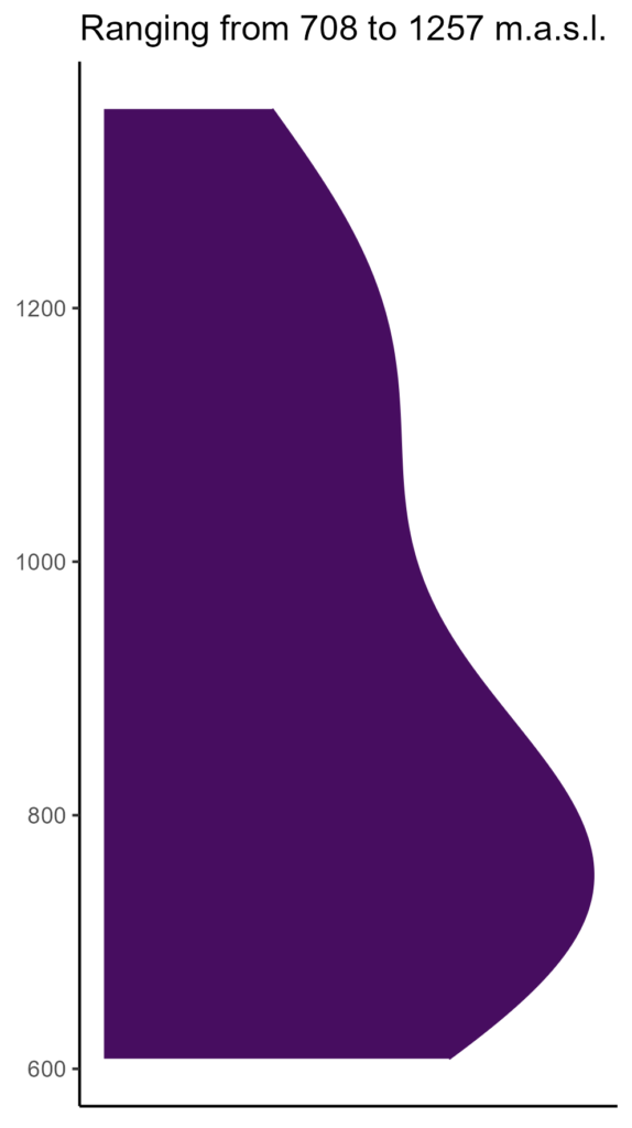 20260120 Vvh083 Elev 574x1024