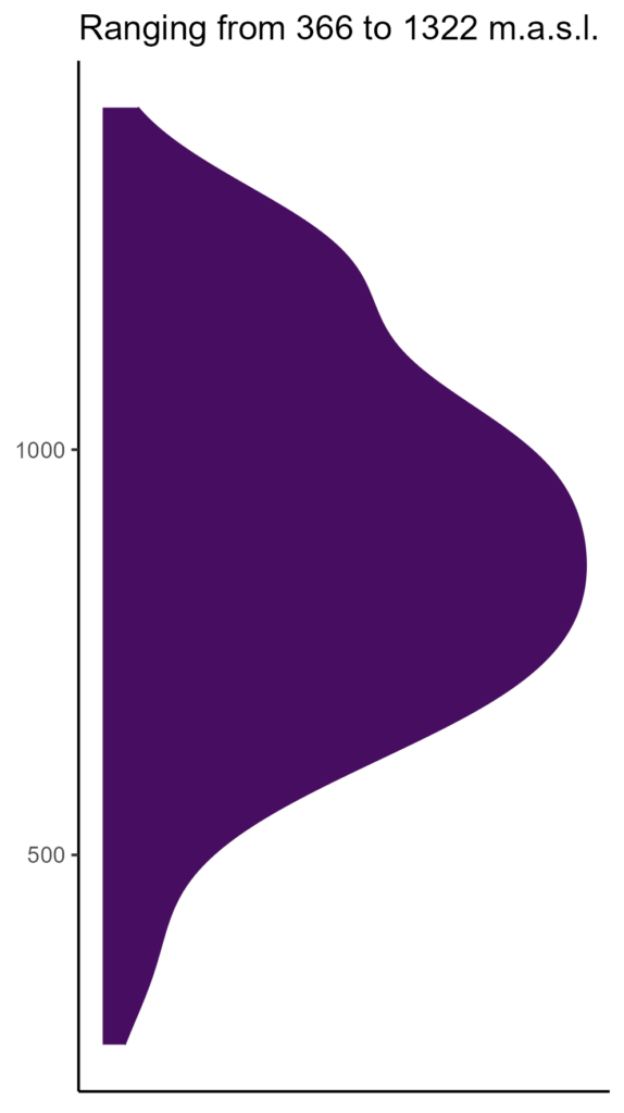 20260120 Vvh307 Elev 574x1024