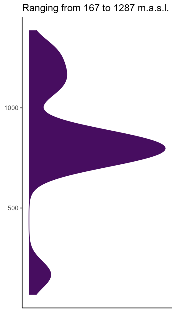 20260120 Vvn054 Elev 574x1024