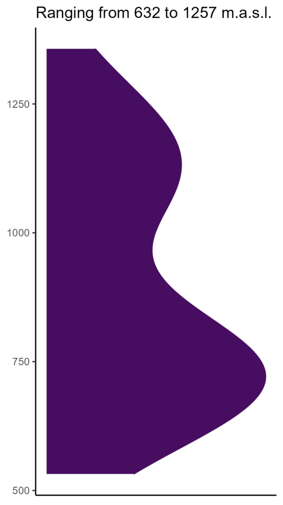 20260120 Vvn308 Elev 574x1024