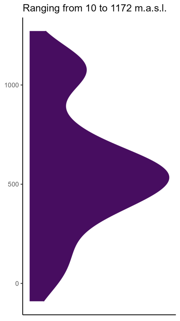 20260120 Vvp012 Elev 574x1024