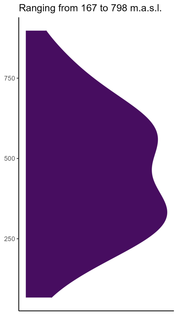 20260120 Vvp029 Elev 574x1024