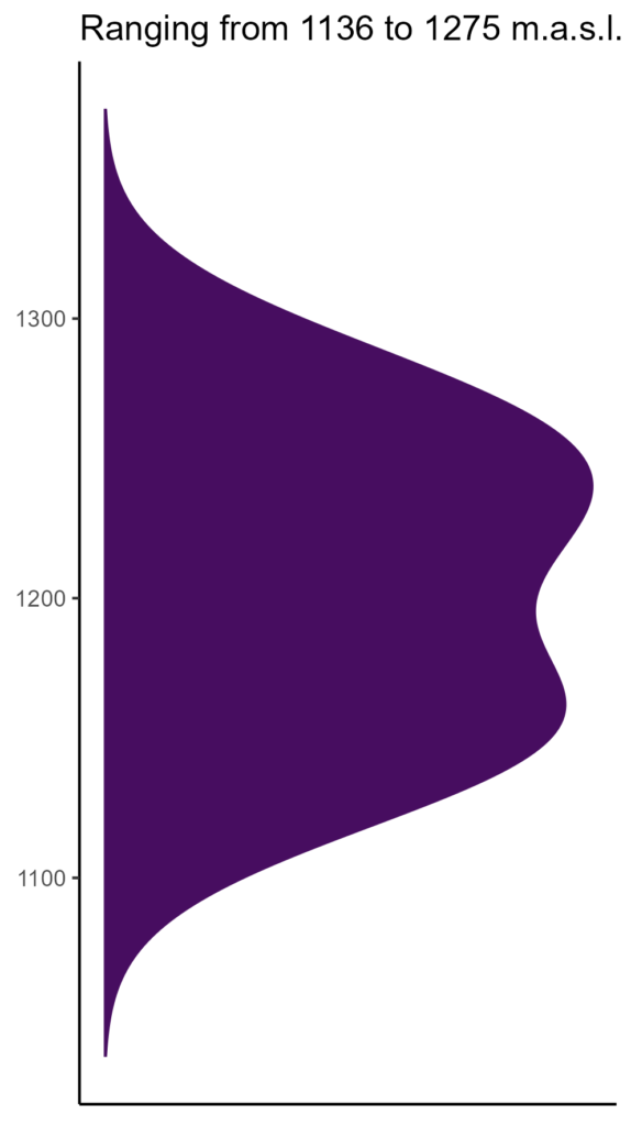 20260120 Vvr309 Elev 574x1024