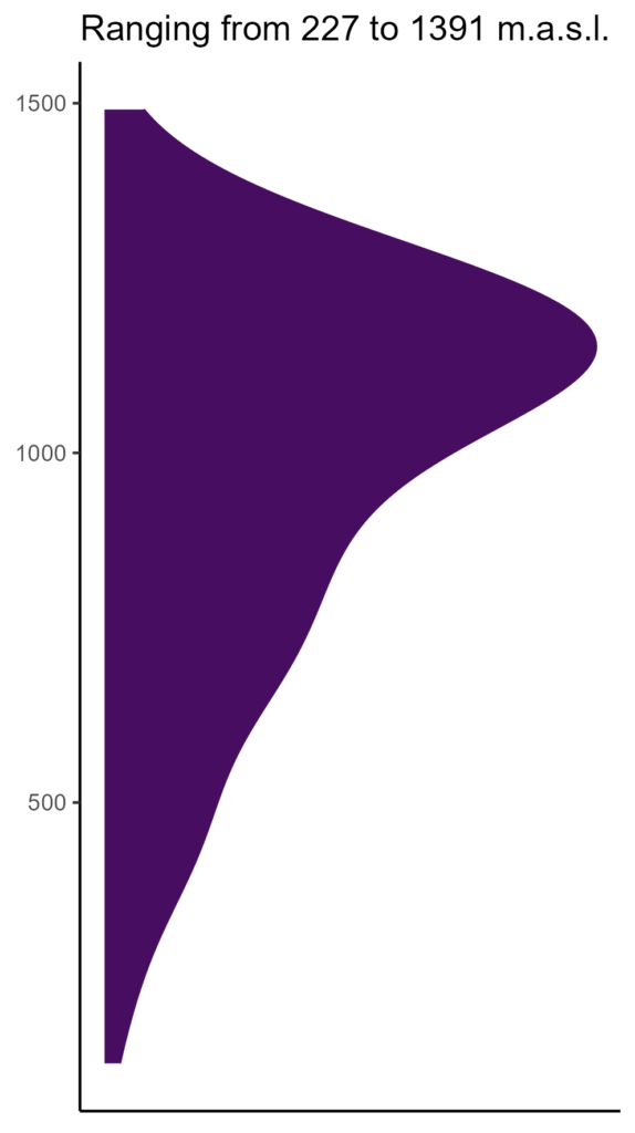 20260120 Vvs056 Elev 574x1024